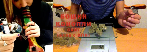 шишки Армянск