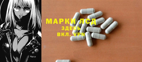 шишки Армянск