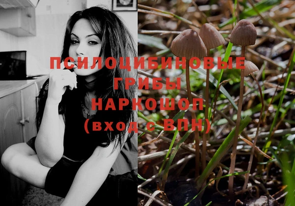спиды Аркадак