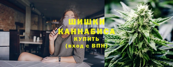 шишки Армянск